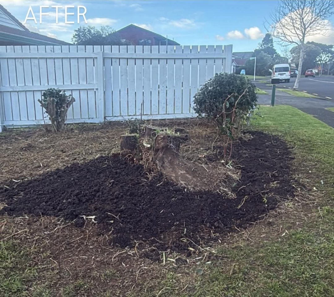 Agapanthus Bed Removal after photo by Tauwhare Lawn Care Services