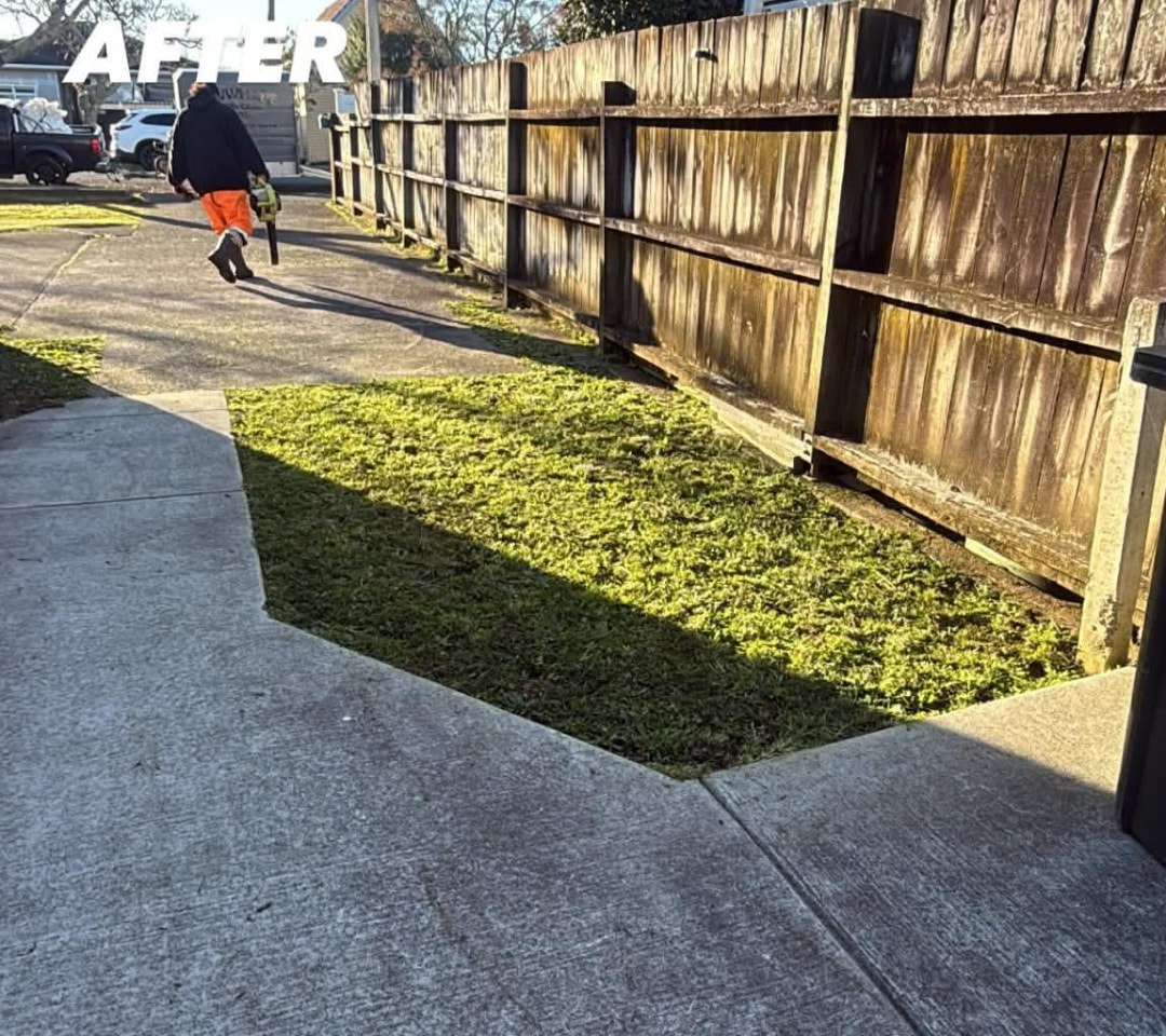 Footpath Strip Mow & Blow after photo by Tauwhare Lawn Care Services